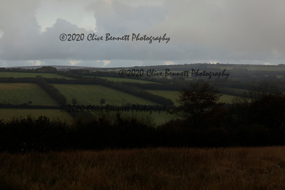 _CB_9160