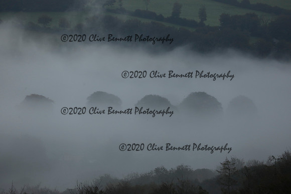 _CB_9123