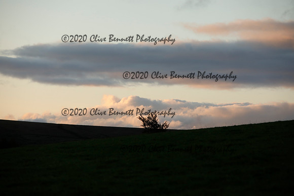 _CB_8200