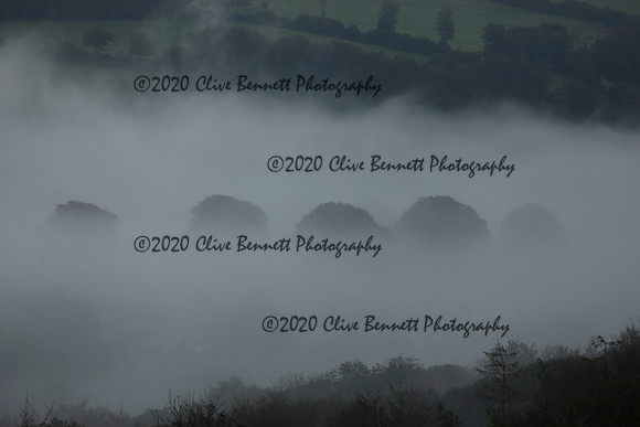 _CB_9122