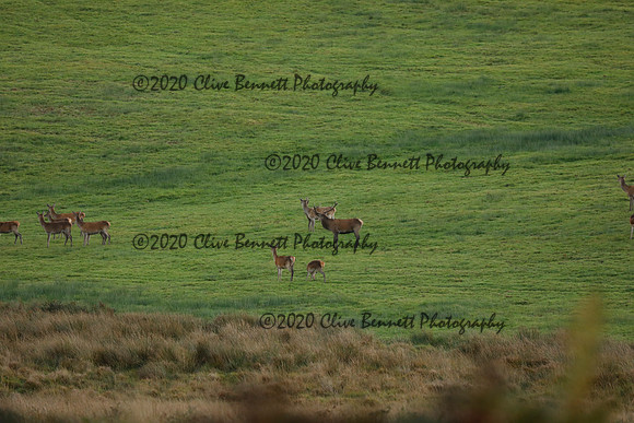 _CB_9050