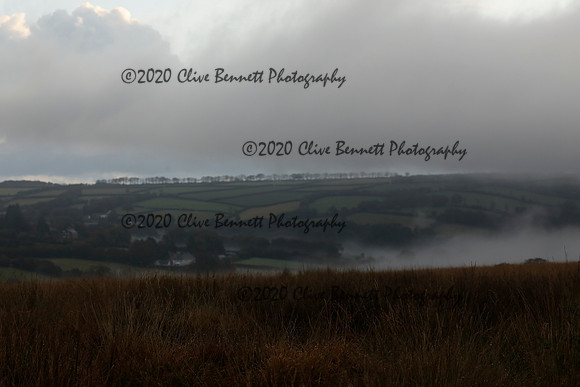 _CB_9141