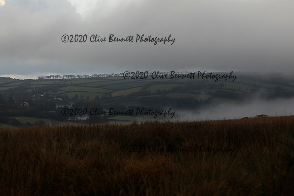 _CB_9142