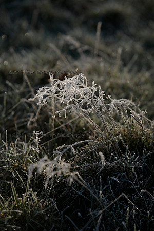 _CB_6535