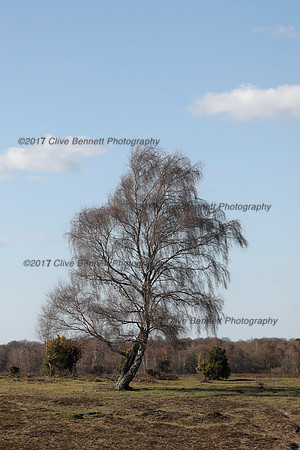 _CB_8760