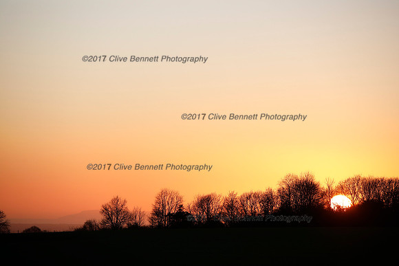 _CB_6649