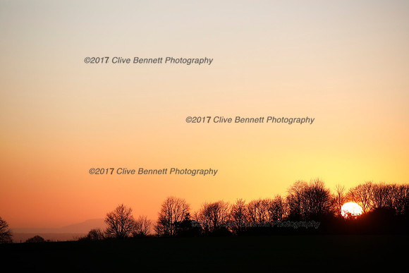 _CB_6650
