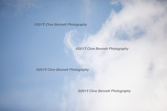_CB_9079