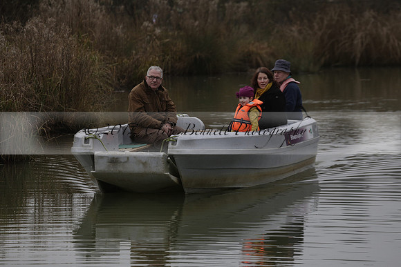 Wildfowl and Wetland Trust Arundel on Sunday 06 January 2013