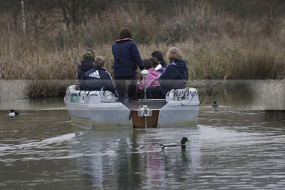 Wildfowl and Wetland Trust Arundel on Sunday 06 January 2013