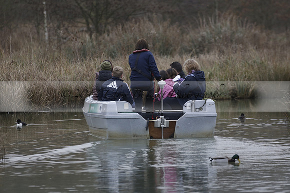 Wildfowl and Wetland Trust Arundel on Sunday 06 January 2013