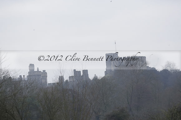 Wildfowl and Wetland Trust Arundel on Sunday 06 January 2013