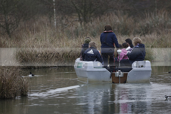 Wildfowl and Wetland Trust Arundel on Sunday 06 January 2013