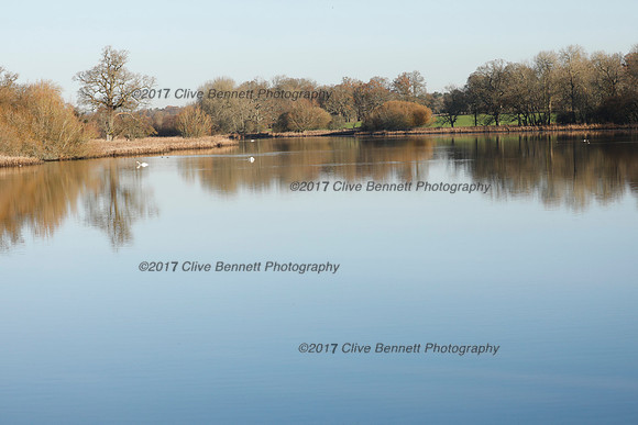 _CB_4373