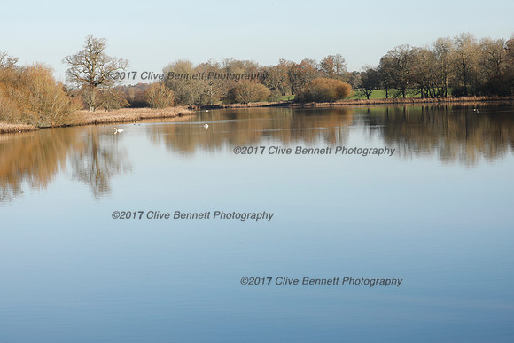 _CB_4372