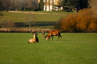 _CB_4316