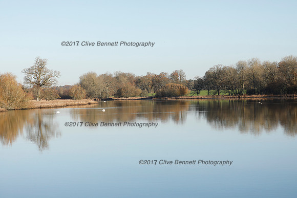 _CB_4371