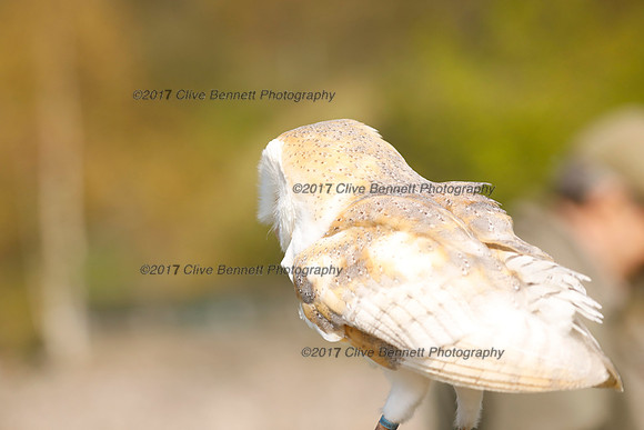 _CB_3563