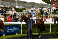 Charity Race The Magnolia Cup. The Goodwood Ladies Race 2016.07.28