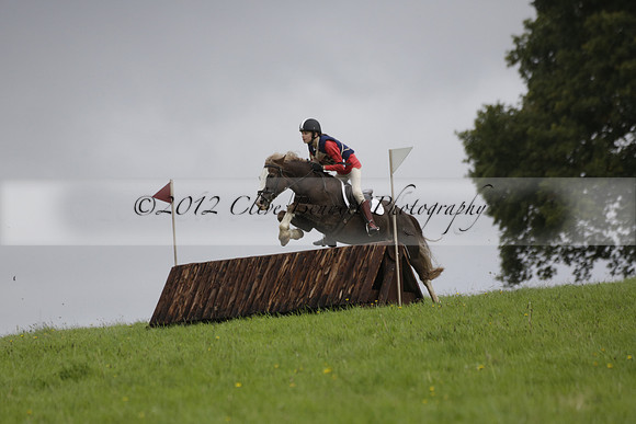 Chiddingfold, Leconfield and Cowdray Hunt, Hunter Trials at Iping on Sunday 20 October 2013. 2013.10.20 www.polopictures.co.uk