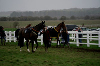 Race 6 (div i) The Maclachlan Solicitors Four and Five Years Old Point-to-Point Flat Race 2026.03.01