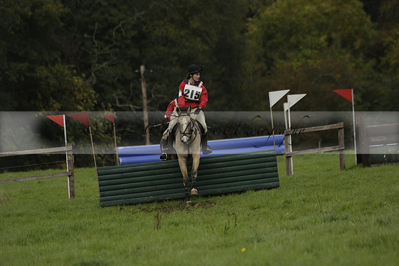 Chiddingfold, Leconfield and Cowdray Hunt, Hunter Trials at Iping on Sunday 20 October 2013. 2013.10.20 www.polopictures.co.uk