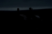 _CAB4865