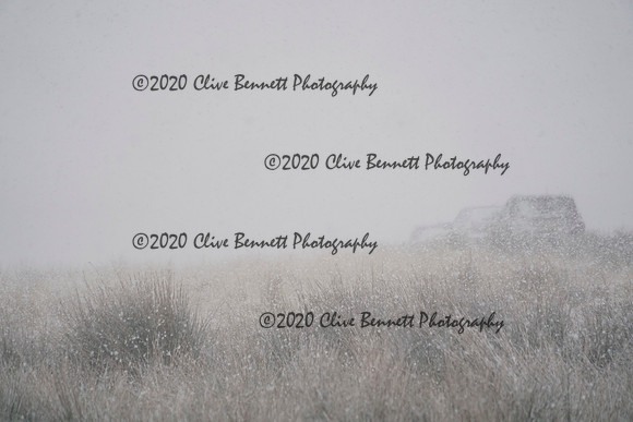 _CAB5226