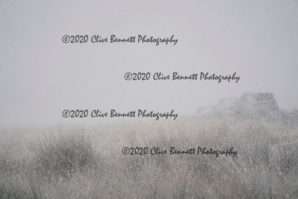 _CAB5227
