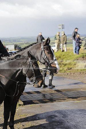 DSSH Meet at Cussicombe Post Saturday 13 October 2012.