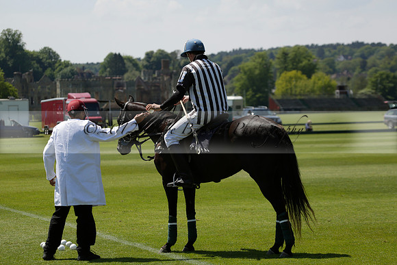 Maiz Dulce v Pluma Negra in a Jubilee 6 Goal Polo match 2013.05.27