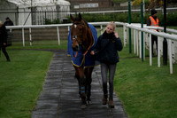 Race 3 The betstgeorge.com Top Prices On English Events Handicap Steeple Chase 2026.03.27