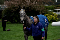 Race 4 The England to Win 20/1 betstgeorge.com Maiden Hurdle Race 2026.03.27