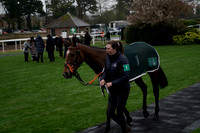 _CAB2784