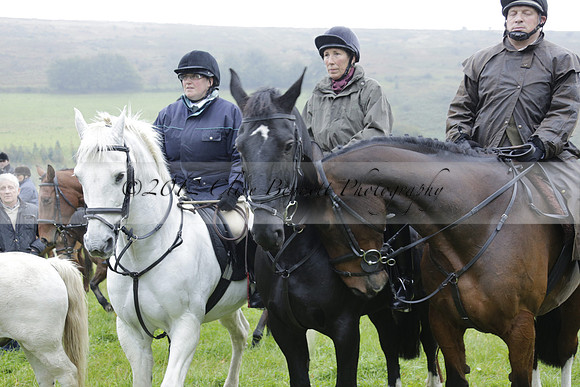Devon & Somerset Stag Hounds meet at Liscombe on Saturday 12 October 2013 2013.10.12 www.polopictures.co.uk