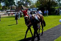 Race 2 The Last Resort Club Handicap Hurdle Race 2026.04.08