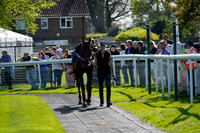 Race 3 The Southern Cranes and Access Handicap Steeple Chase 2026.04.08