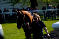 Race 5 The Southern Contract Lifting Handicap Steeple Chase 2026.04.08