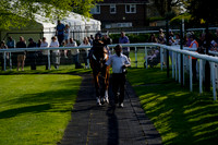 Race 6 The KSR Lighting The Ultimate Lighting Solutions Handicap Hurdle Race 2026.04.08