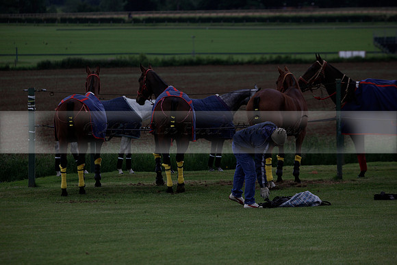 Lamrei v Dorsia in the Cicero Cup Final played on Brooks Field on Monday 04 June 2012 at Cowdray Park Polo Club