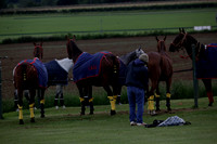 Lamrei v Dorsia in the Cicero Cup Final played on Brooks Field on Monday 04 June 2012 at Cowdray Park Polo Club
