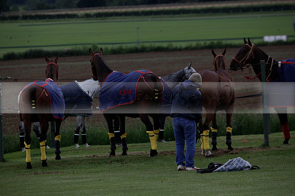 Lamrei v Dorsia in the Cicero Cup Final played on Brooks Field on Monday 04 June 2012 at Cowdray Park Polo Club
