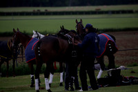Lamrei v Dorsia in the Cicero Cup Final played on Brooks Field on Monday 04 June 2012 at Cowdray Park Polo Club