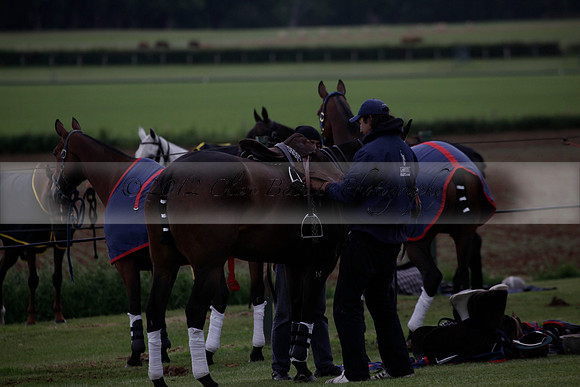 Lamrei v Dorsia in the Cicero Cup Final played on Brooks Field on Monday 04 June 2012 at Cowdray Park Polo Club