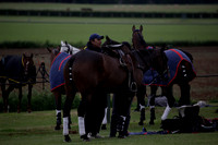 Lamrei v Dorsia in the Cicero Cup Final played on Brooks Field on Monday 04 June 2012 at Cowdray Park Polo Club