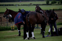 Lamrei v Dorsia in the Cicero Cup Final played on Brooks Field on Monday 04 June 2012 at Cowdray Park Polo Club