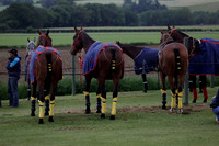 Lamrei v Dorsia in the Cicero Cup Final played on Brooks Field on Monday 04 June 2012 at Cowdray Park Polo Club
