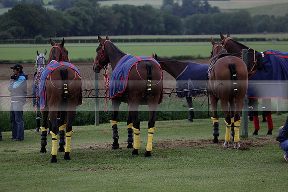 Lamrei v Dorsia in the Cicero Cup Final played on Brooks Field on Monday 04 June 2012 at Cowdray Park Polo Club