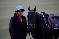 Lamrei v Dorsia in the Cicero Cup Final played on Brooks Field on Monday 04 June 2012 at Cowdray Park Polo Club