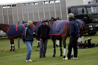 Lamrei v Dorsia in the Cicero Cup Final played on Brooks Field on Monday 04 June 2012 at Cowdray Park Polo Club